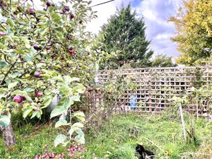 Garden- click for photo gallery